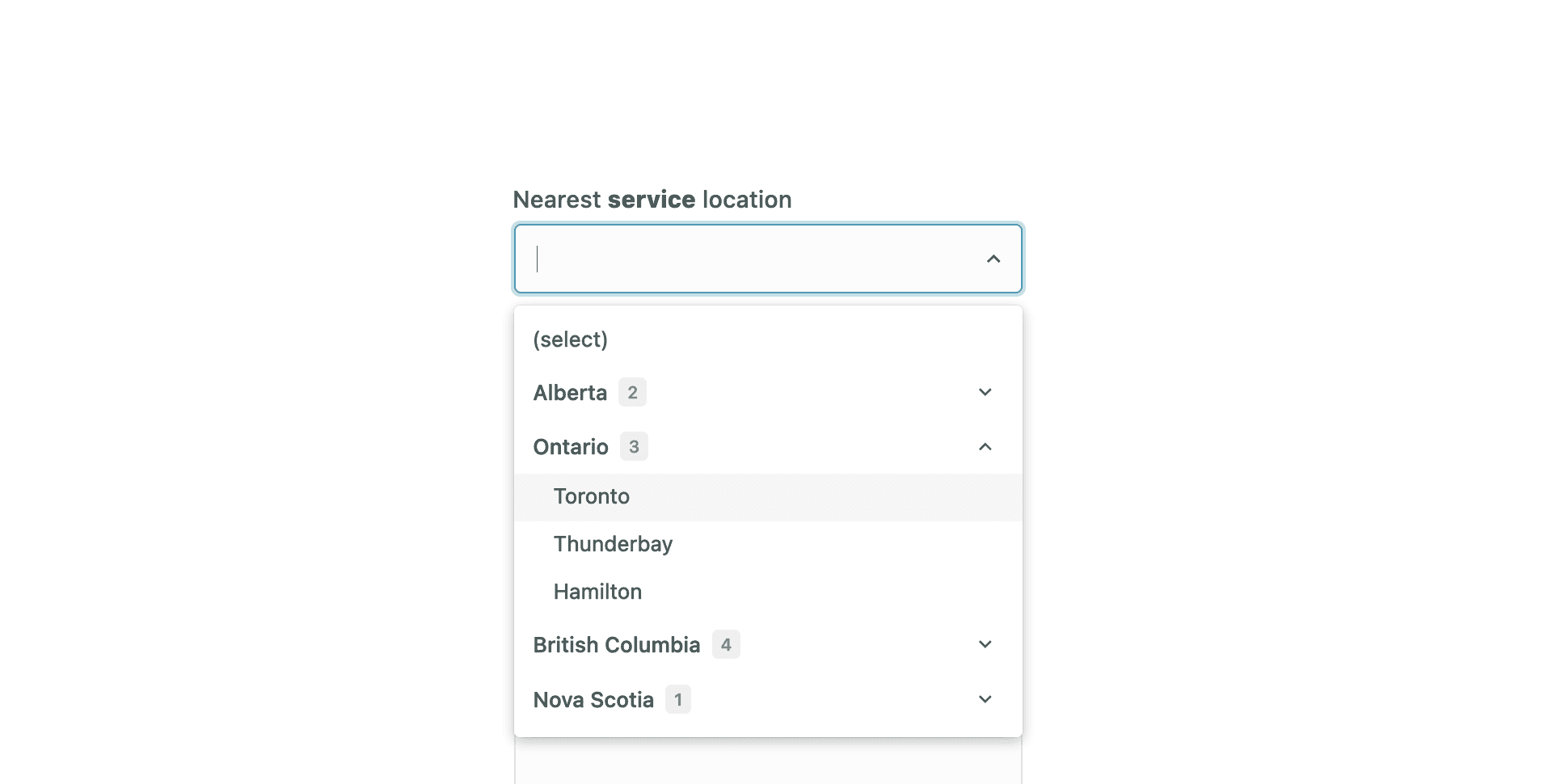 Searchable form dropdown input field